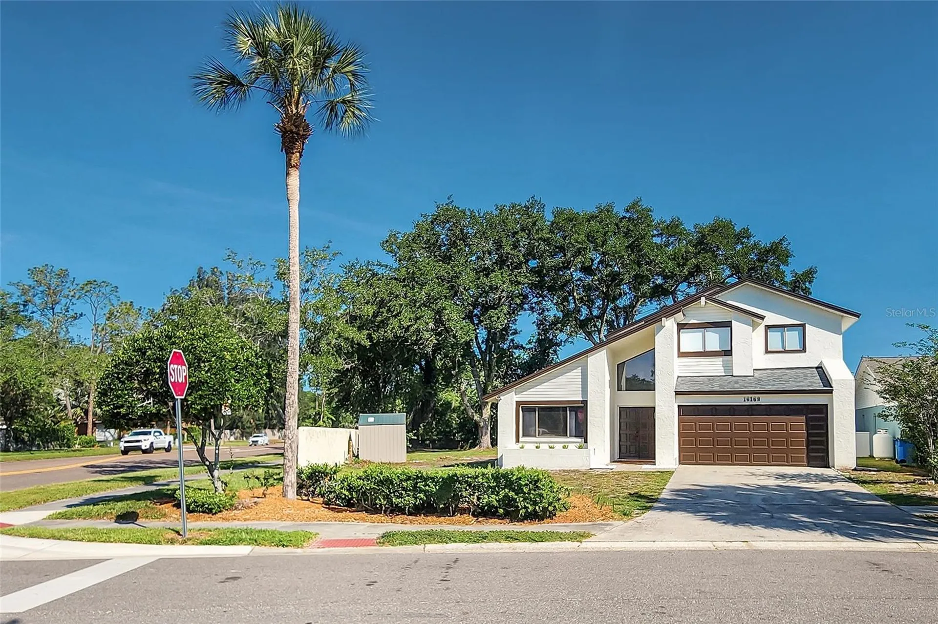 16169 Gardendale Drive Tampa FL 33624
