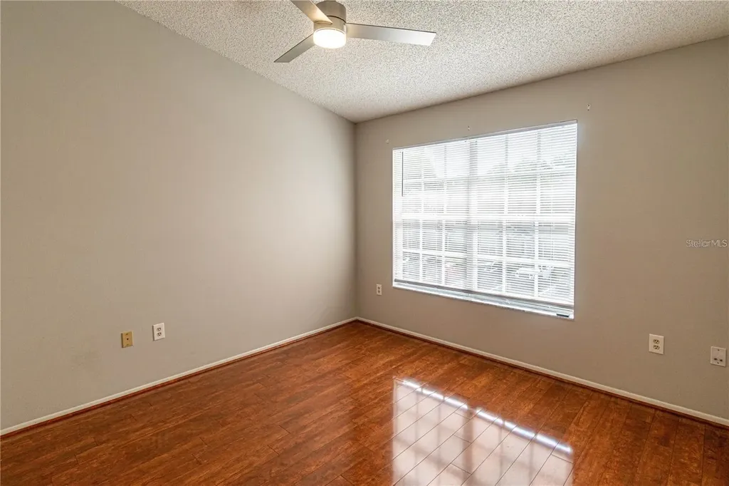 2897 Thaxton Drive Palm Harbor FL 34684