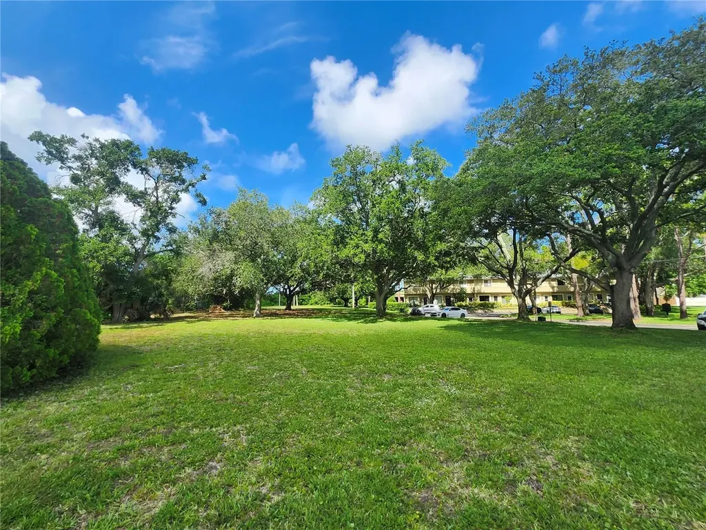 2897 Thaxton Drive Palm Harbor FL 34684