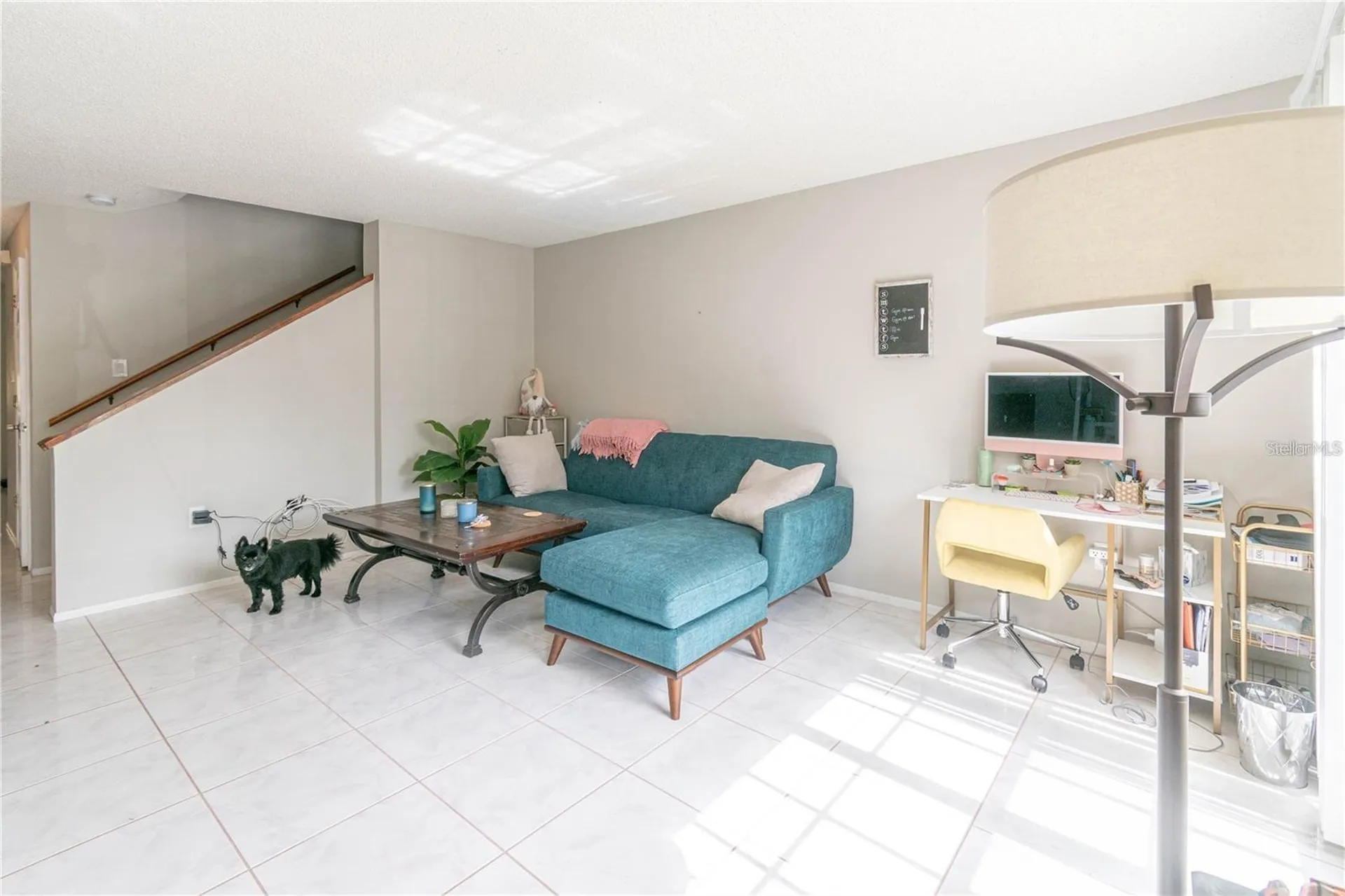 2897 Thaxton Drive Palm Harbor FL 34684