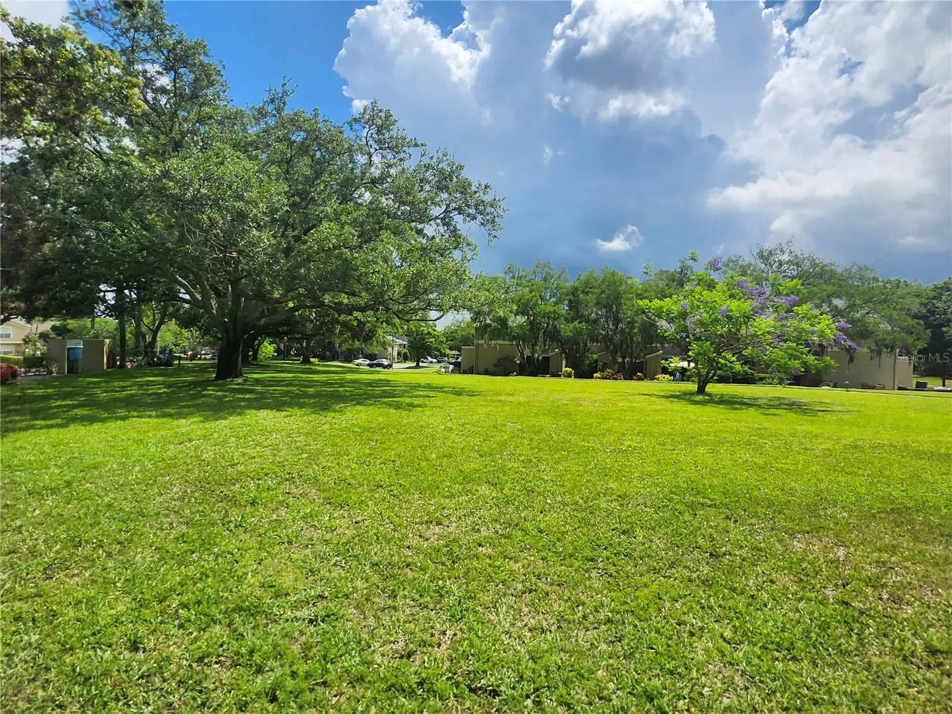 2897 Thaxton Drive Palm Harbor FL 34684