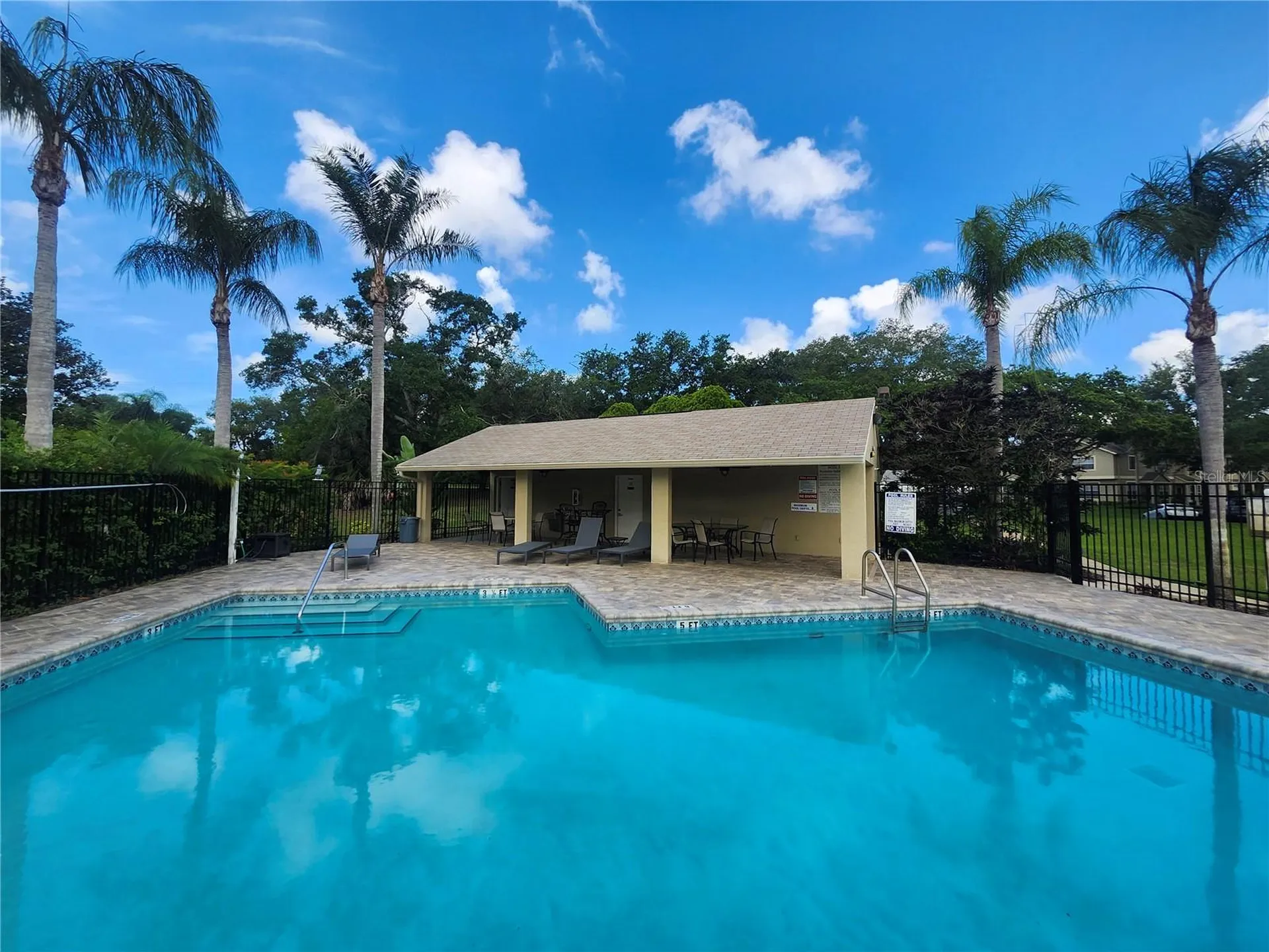 2897 Thaxton Drive Palm Harbor FL 34684