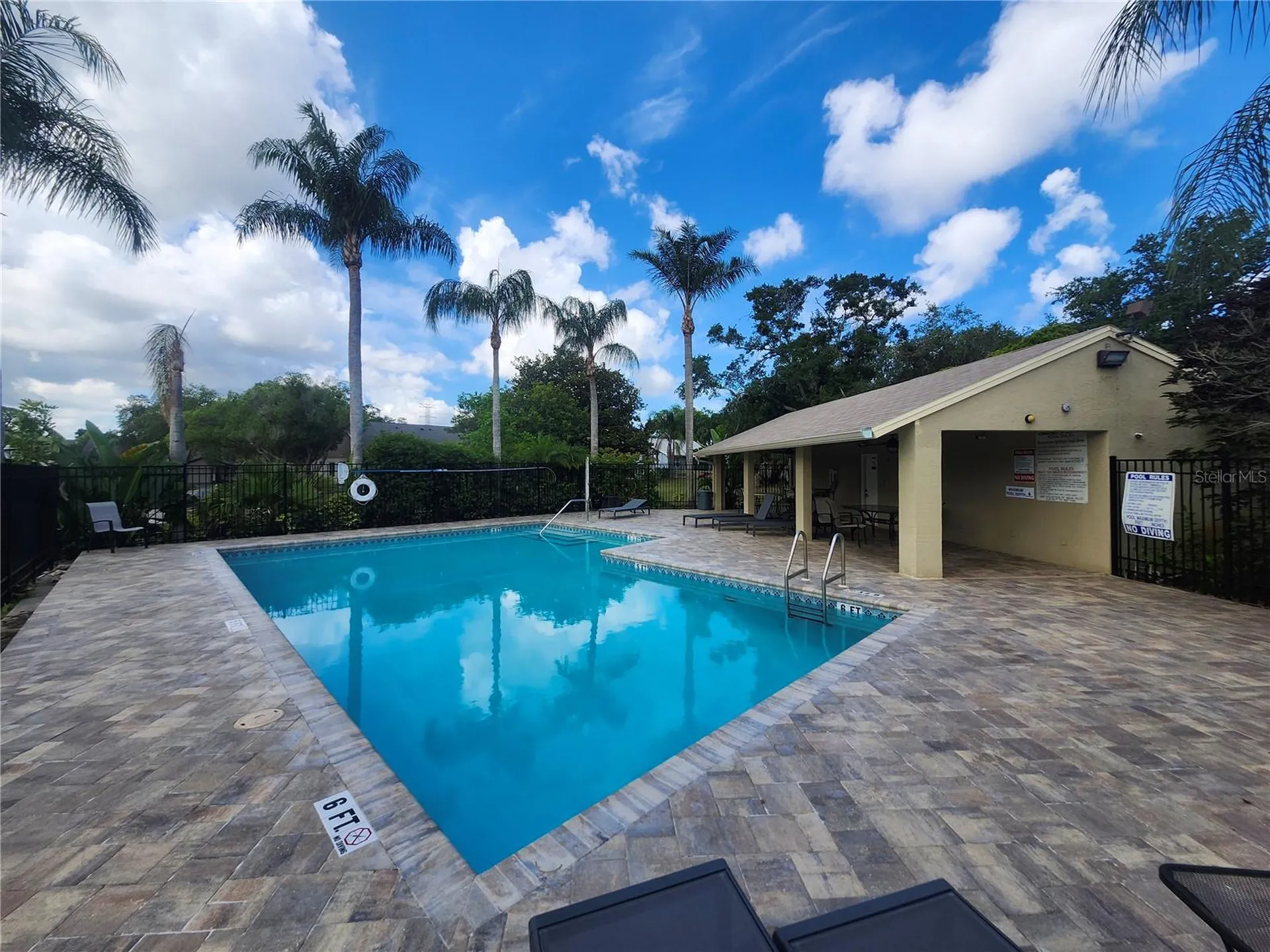 2897 Thaxton Drive Palm Harbor FL 34684