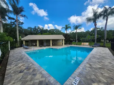 2897 Thaxton Drive Palm Harbor FL 34684