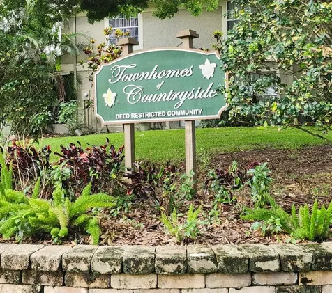 2897 Thaxton Drive Palm Harbor FL 34684