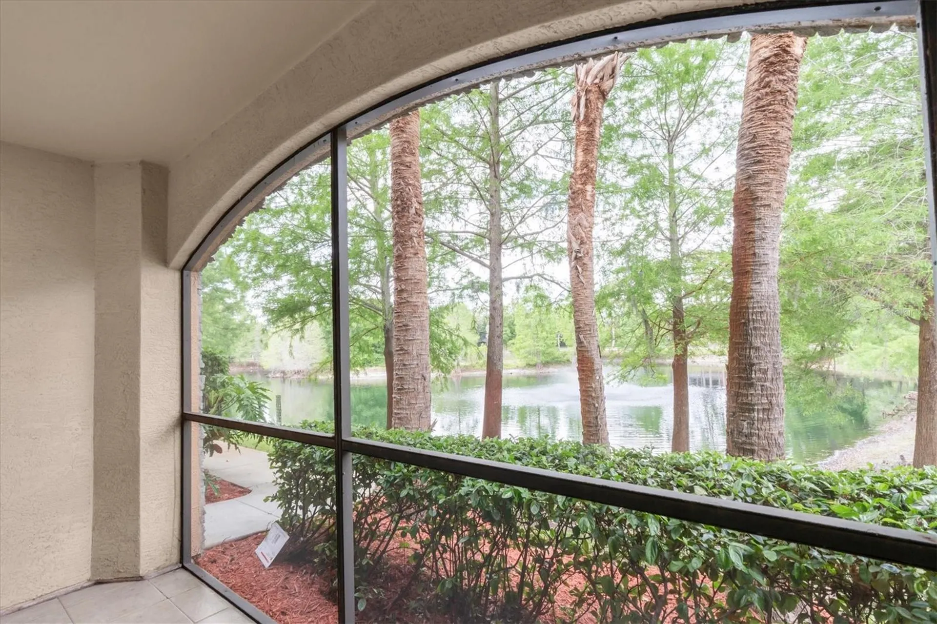 2217 Tuscany Trace Palm Harbor FL 34683
