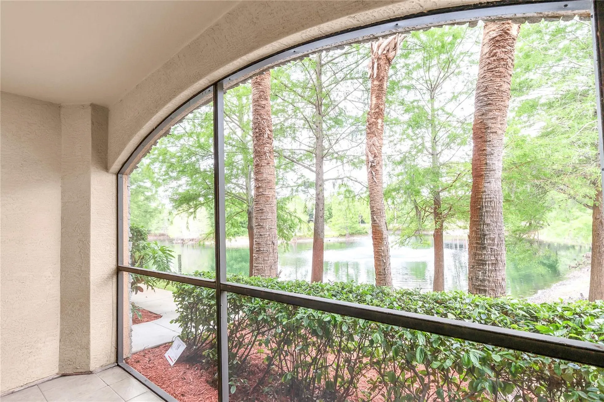 2217 Tuscany Trace Palm Harbor FL 34683
