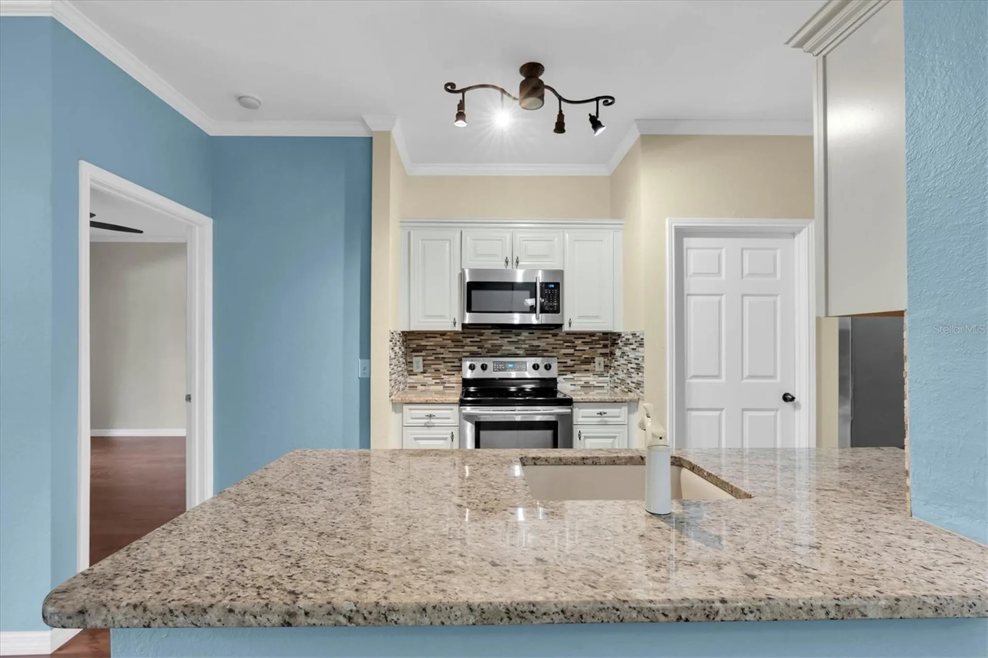 2217 Tuscany Trace Palm Harbor FL 34683