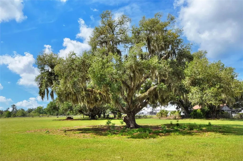 0 Dorman Road Lithia FL 33547