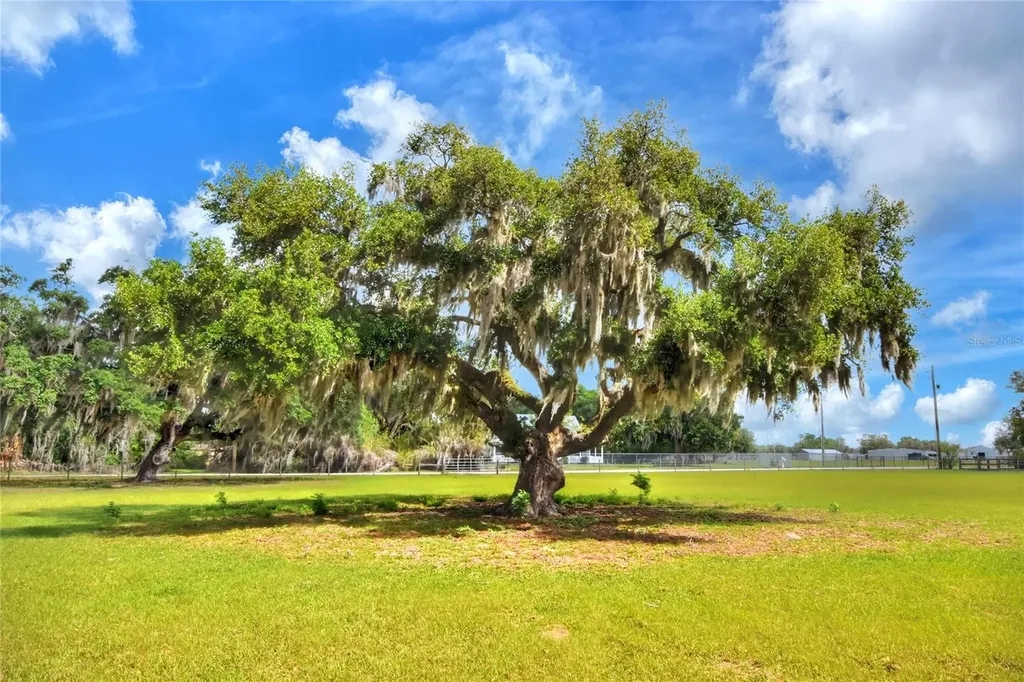 0 Dorman Road Lithia FL 33547