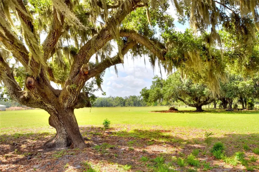 0 Dorman Road Lithia FL 33547