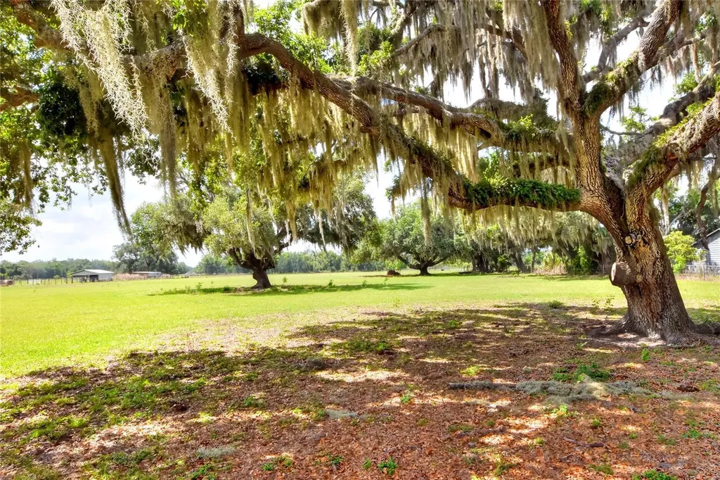 0 Dorman Road Lithia FL 33547