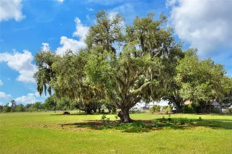 0 Dorman Road Lithia FL 33547