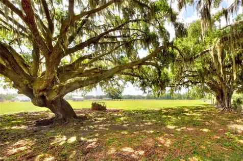 0 Dorman Road Lithia FL 33547