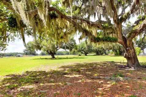 0 Dorman Road Lithia FL 33547