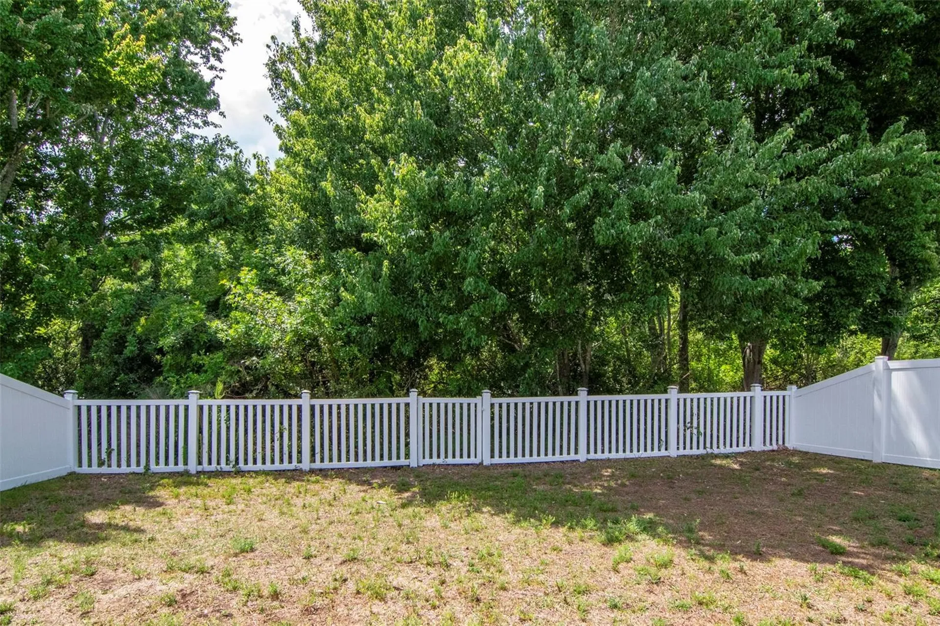 3201 Dunstable Drive Land O Lakes FL 34638