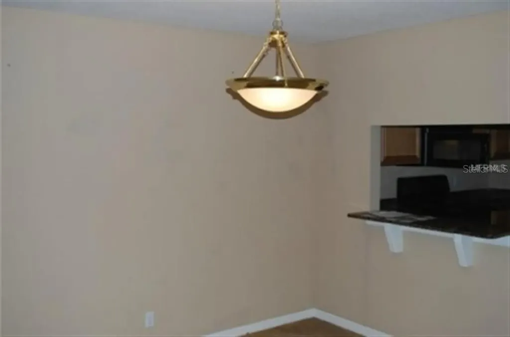 3419 Dragon View Court Valrico FL 33594