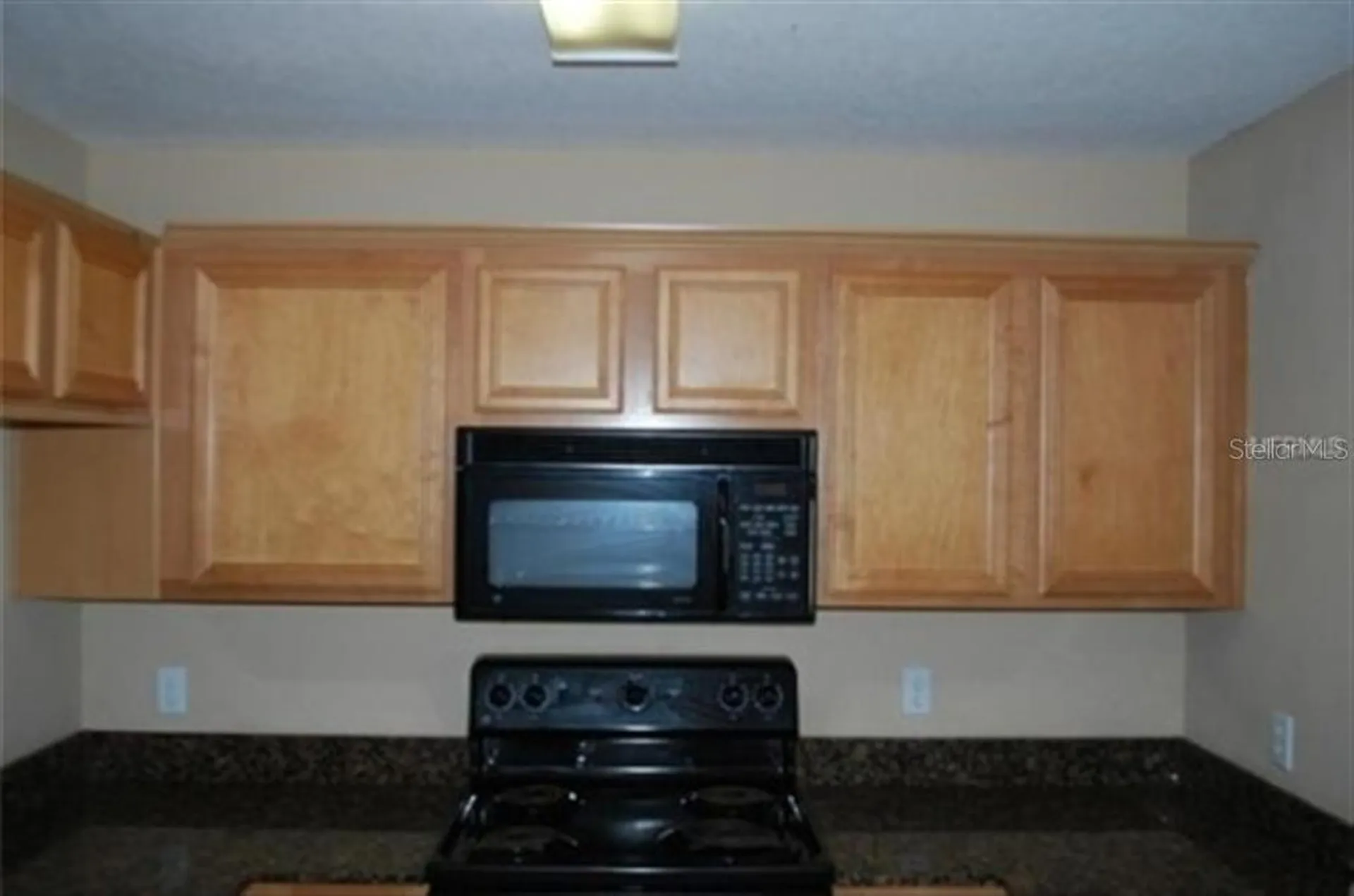 3419 Dragon View Court Valrico FL 33594