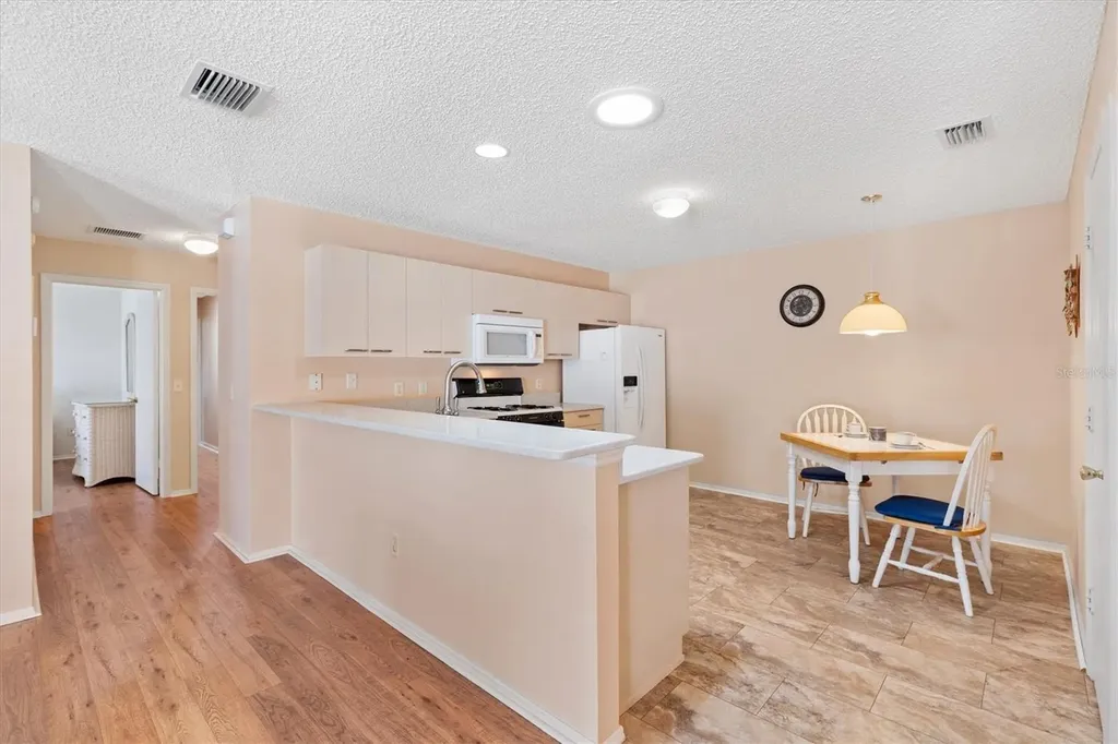 17449 SE 93rd Vine Avenue The Villages FL 32162