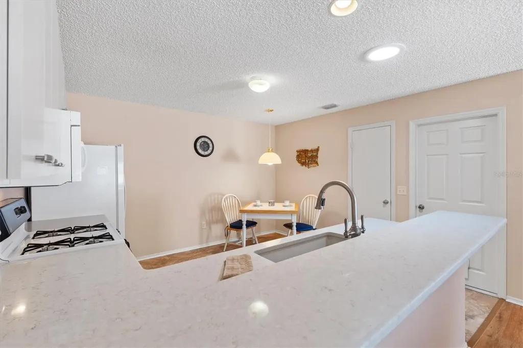 17449 SE 93rd Vine Avenue The Villages FL 32162