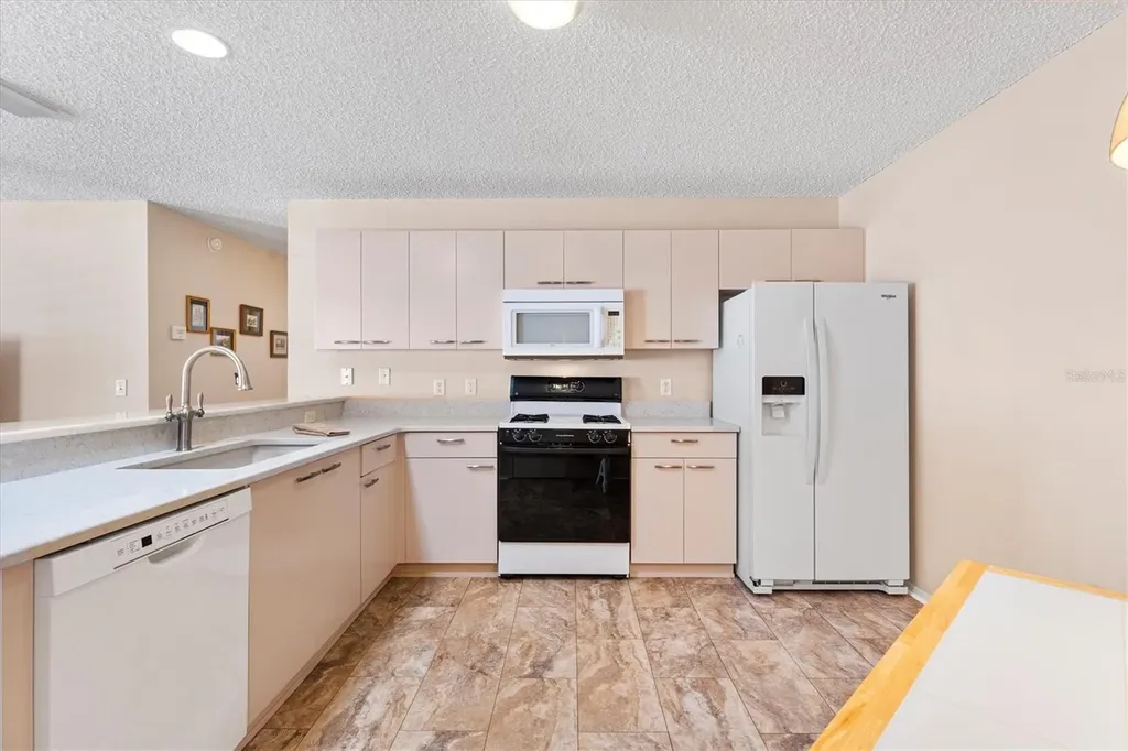 17449 SE 93rd Vine Avenue The Villages FL 32162