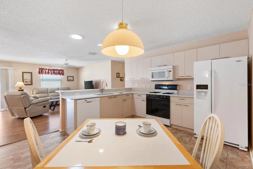 17449 SE 93rd Vine Avenue The Villages FL 32162