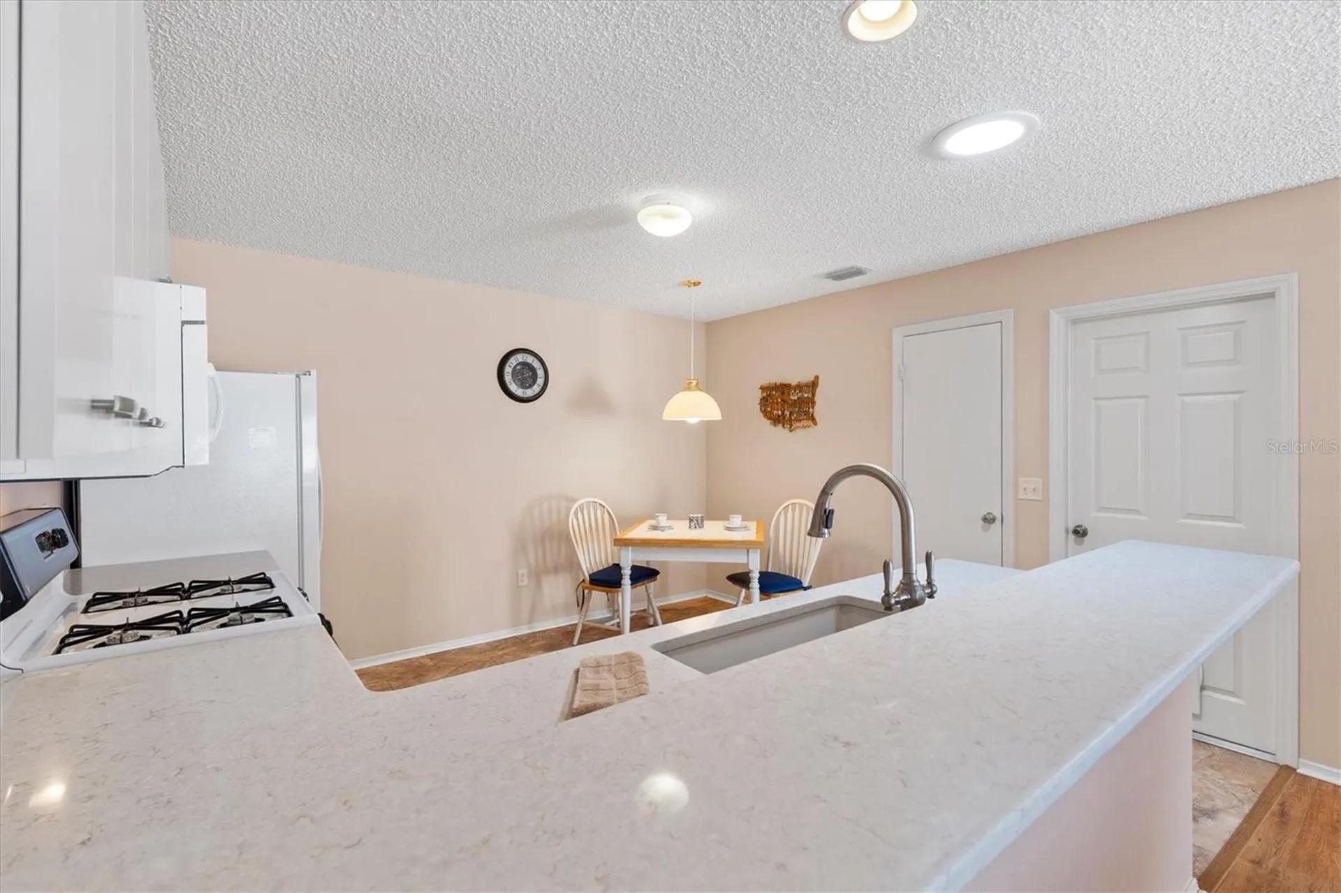 17449 SE 93rd Vine Avenue The Villages FL 32162