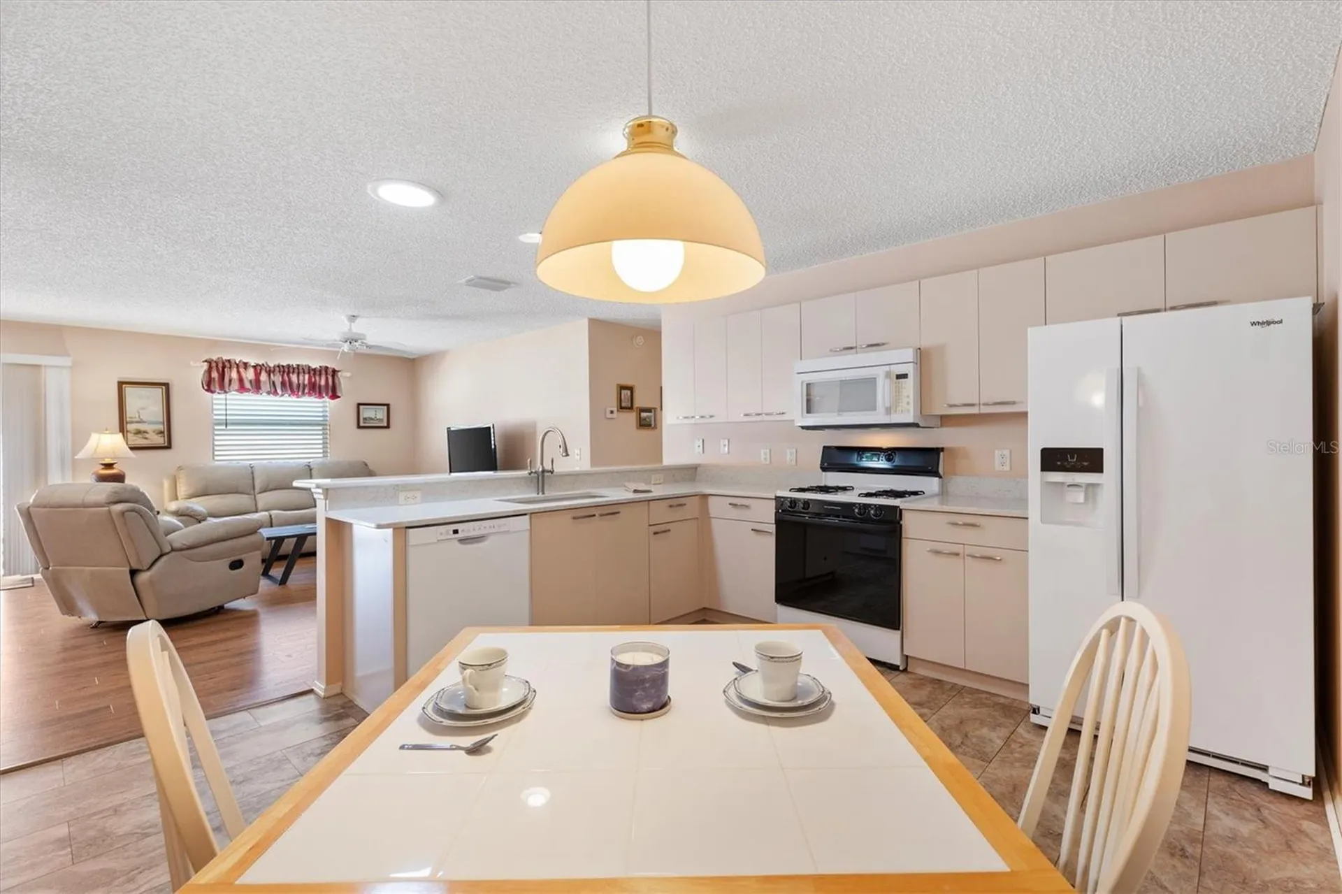 17449 SE 93rd Vine Avenue The Villages FL 32162