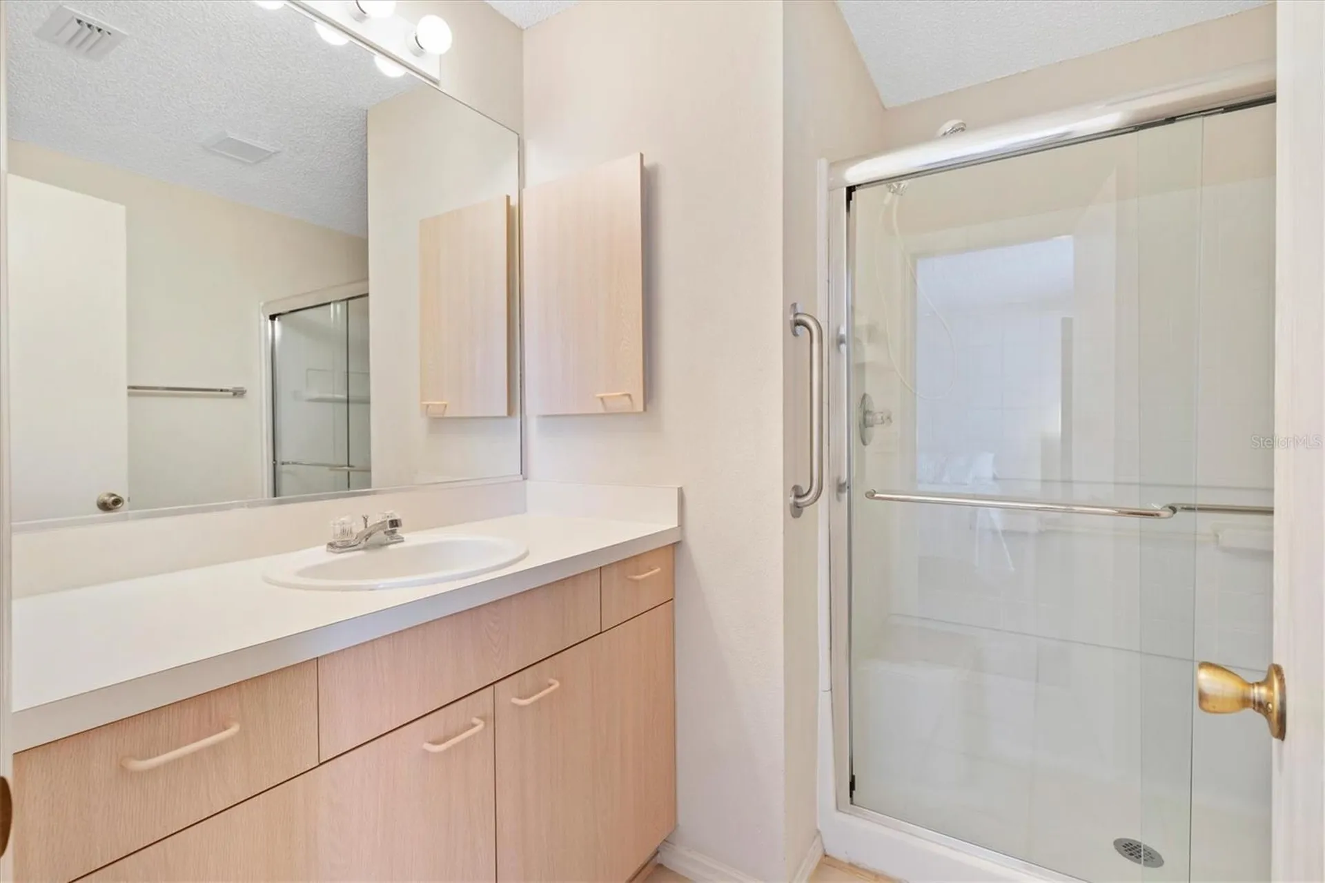 17449 SE 93rd Vine Avenue The Villages FL 32162