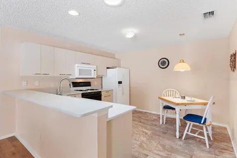 17449 SE 93rd Vine Avenue The Villages FL 32162