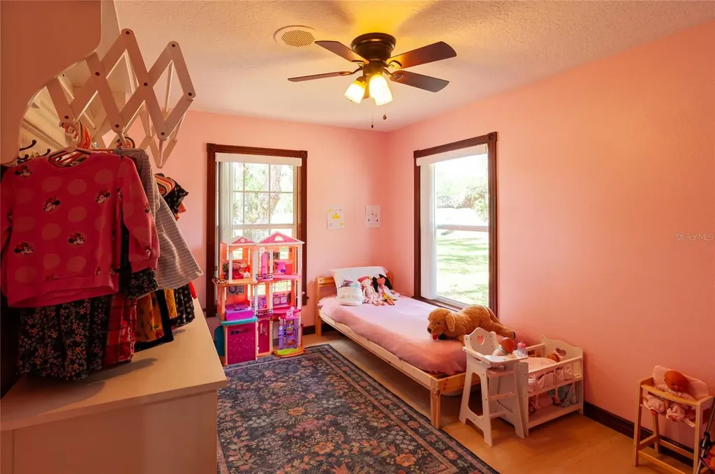 31919 Hedgerow Drive Wesley Chapel FL 33543