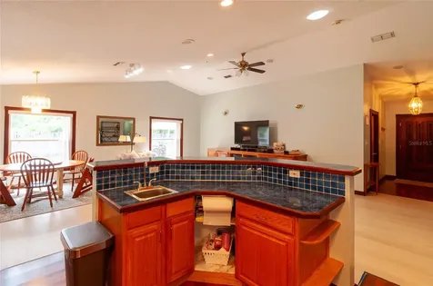 31919 Hedgerow Drive Wesley Chapel FL 33543