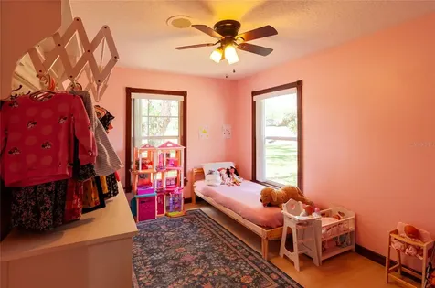 31919 Hedgerow Drive Wesley Chapel FL 33543