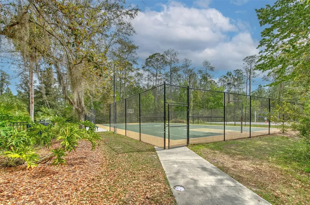 27601 Baybrook Loop Wesley Chapel FL 33544