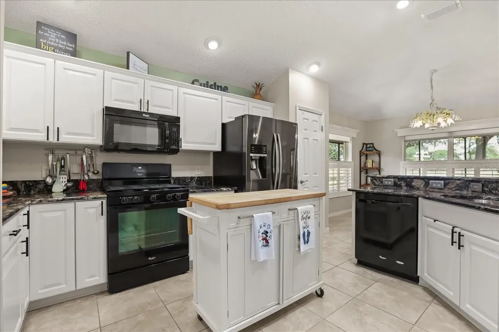 17270 SE 85th Willowick Circle The Villages FL 32162
