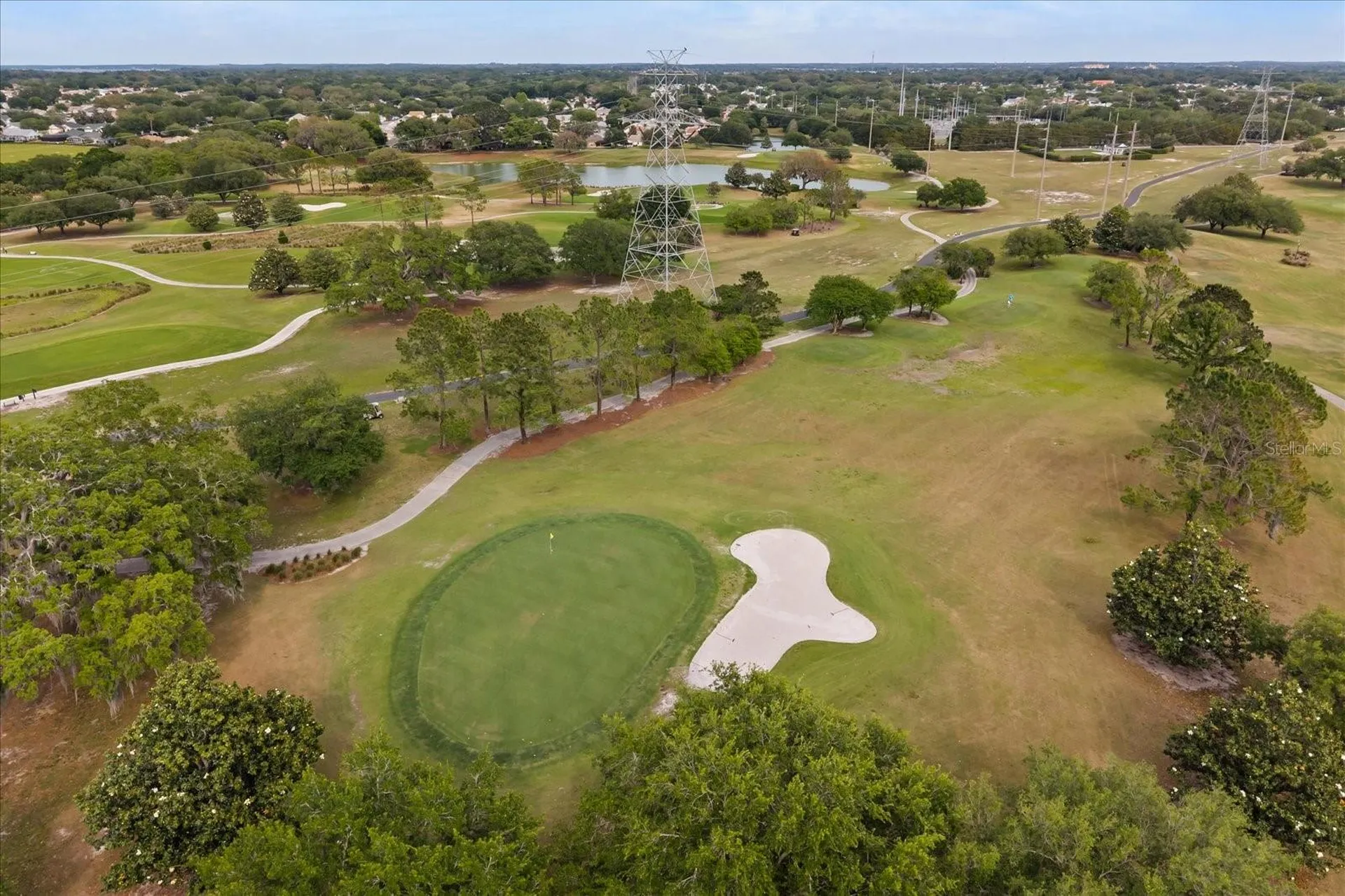 17270 SE 85th Willowick Circle The Villages FL 32162