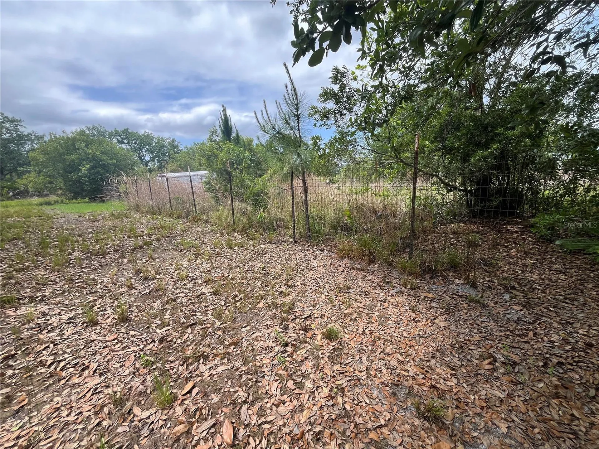 10780 State Road 60 E Lake Wales FL 33898