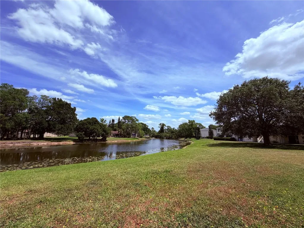 129 Camphor Circle Oldsmar FL 34677