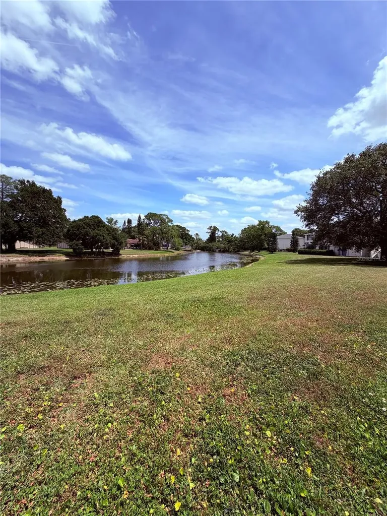 129 Camphor Circle Oldsmar FL 34677