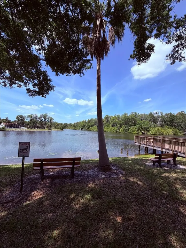 129 Camphor Circle Oldsmar FL 34677