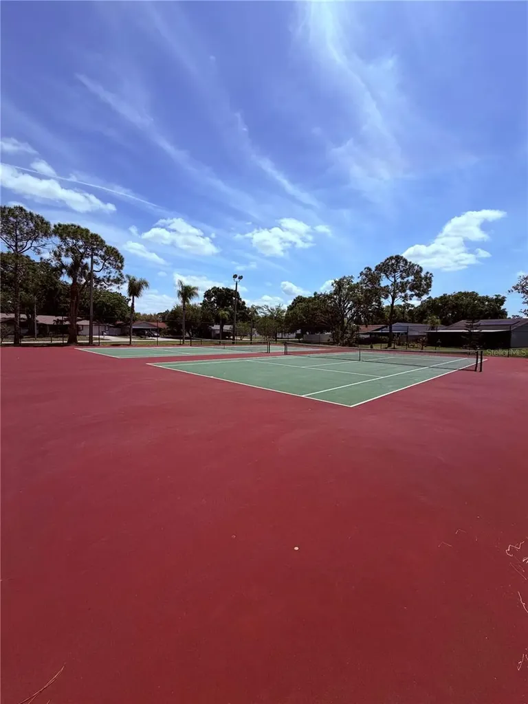 129 Camphor Circle Oldsmar FL 34677