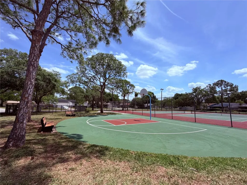 129 Camphor Circle Oldsmar FL 34677
