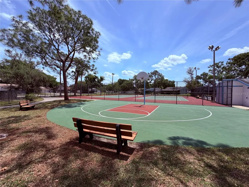 129 Camphor Circle Oldsmar FL 34677