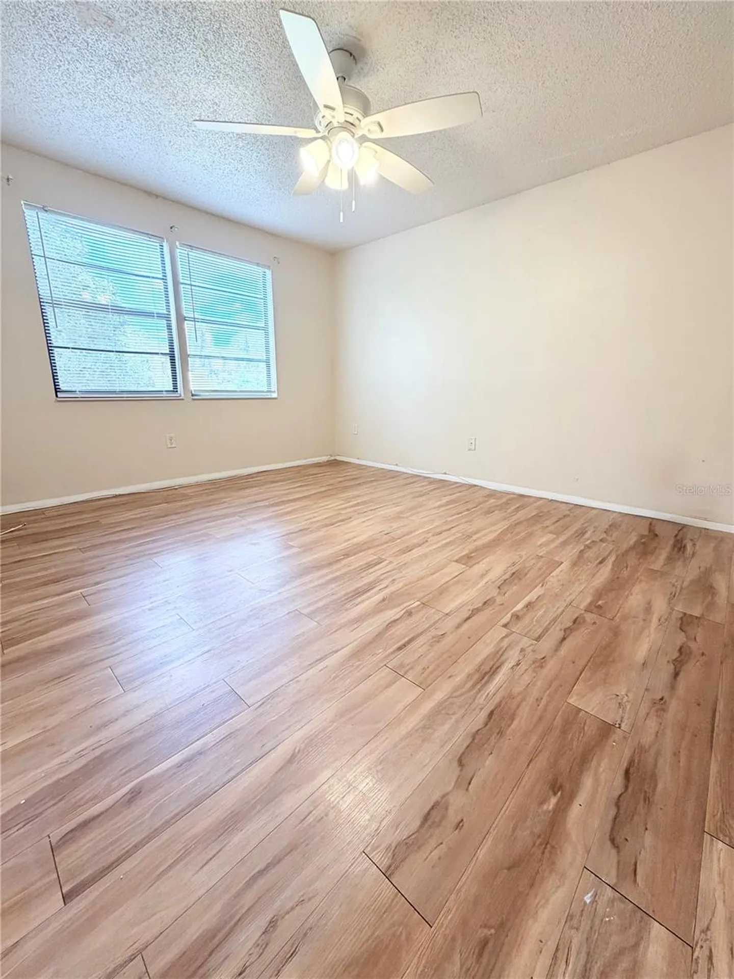 129 Camphor Circle Oldsmar FL 34677