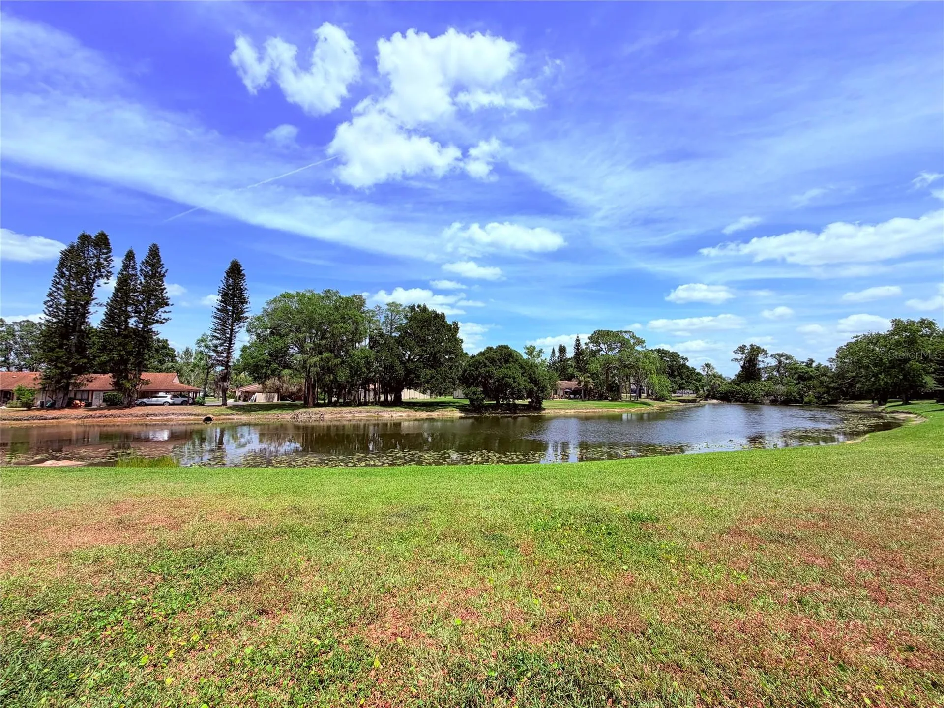 129 Camphor Circle Oldsmar FL 34677