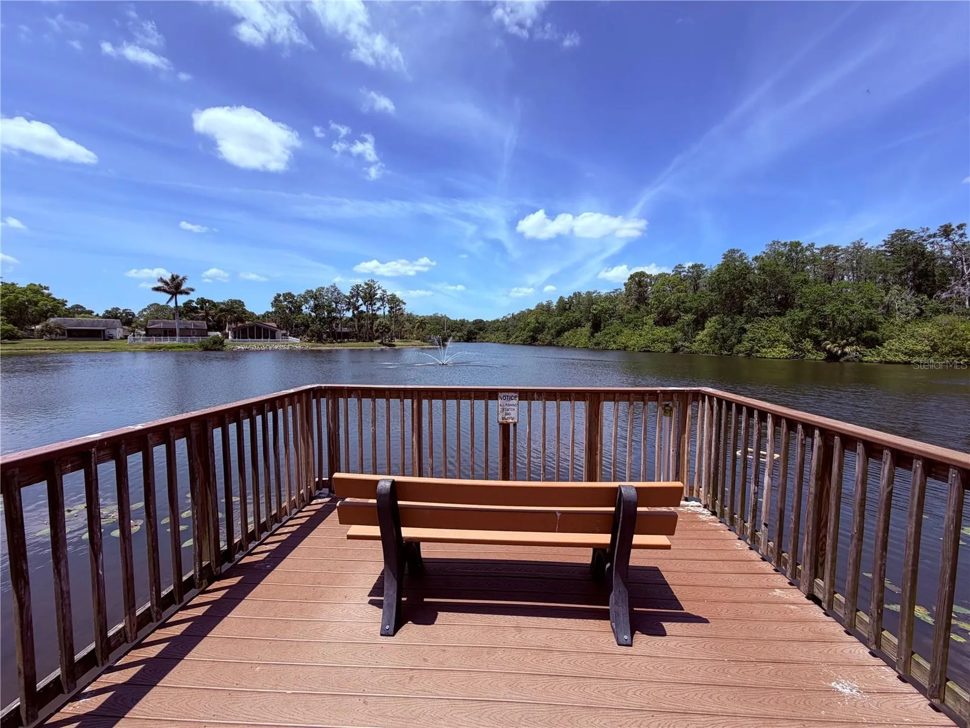 129 Camphor Circle Oldsmar FL 34677
