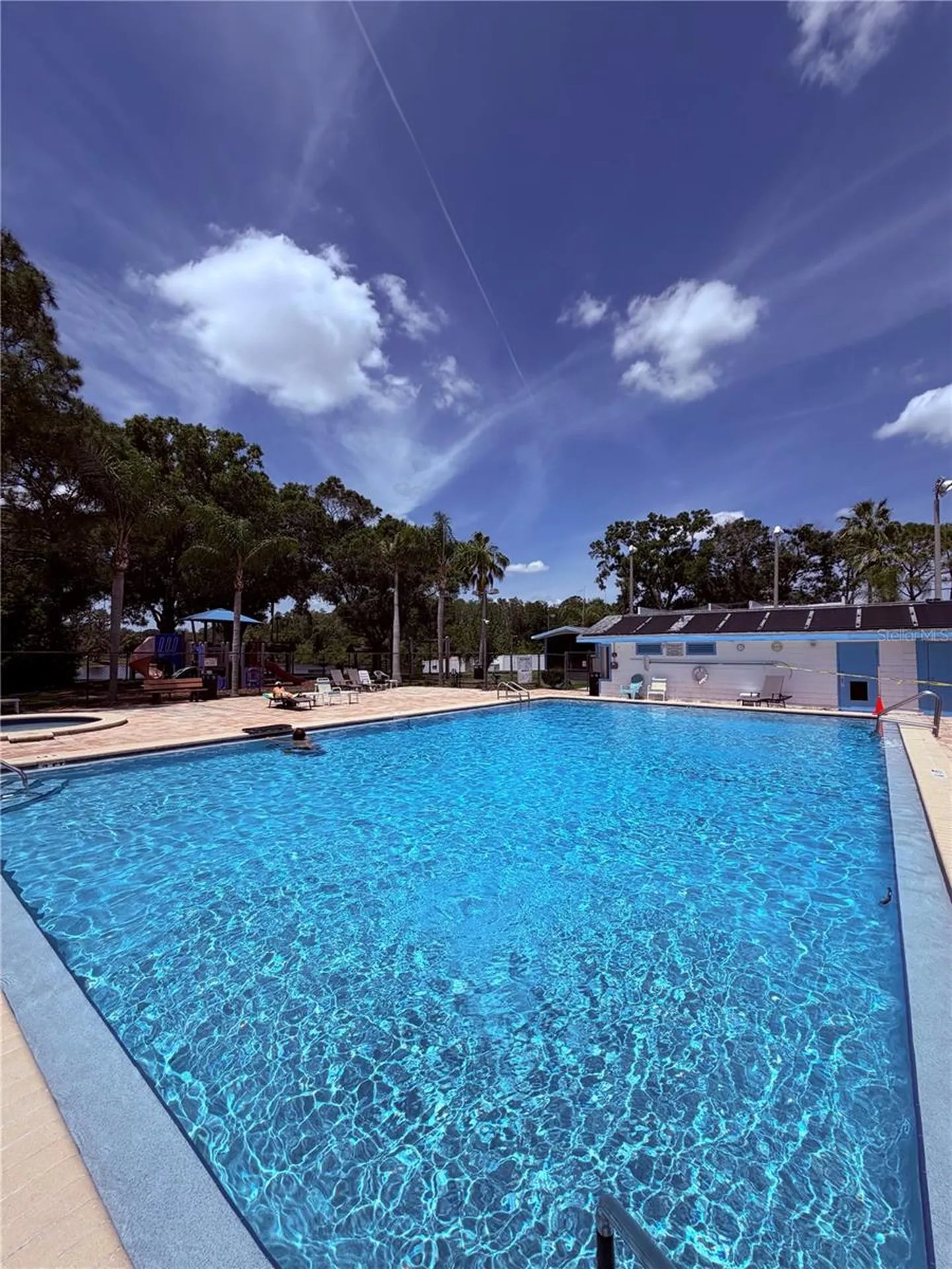 129 Camphor Circle Oldsmar FL 34677