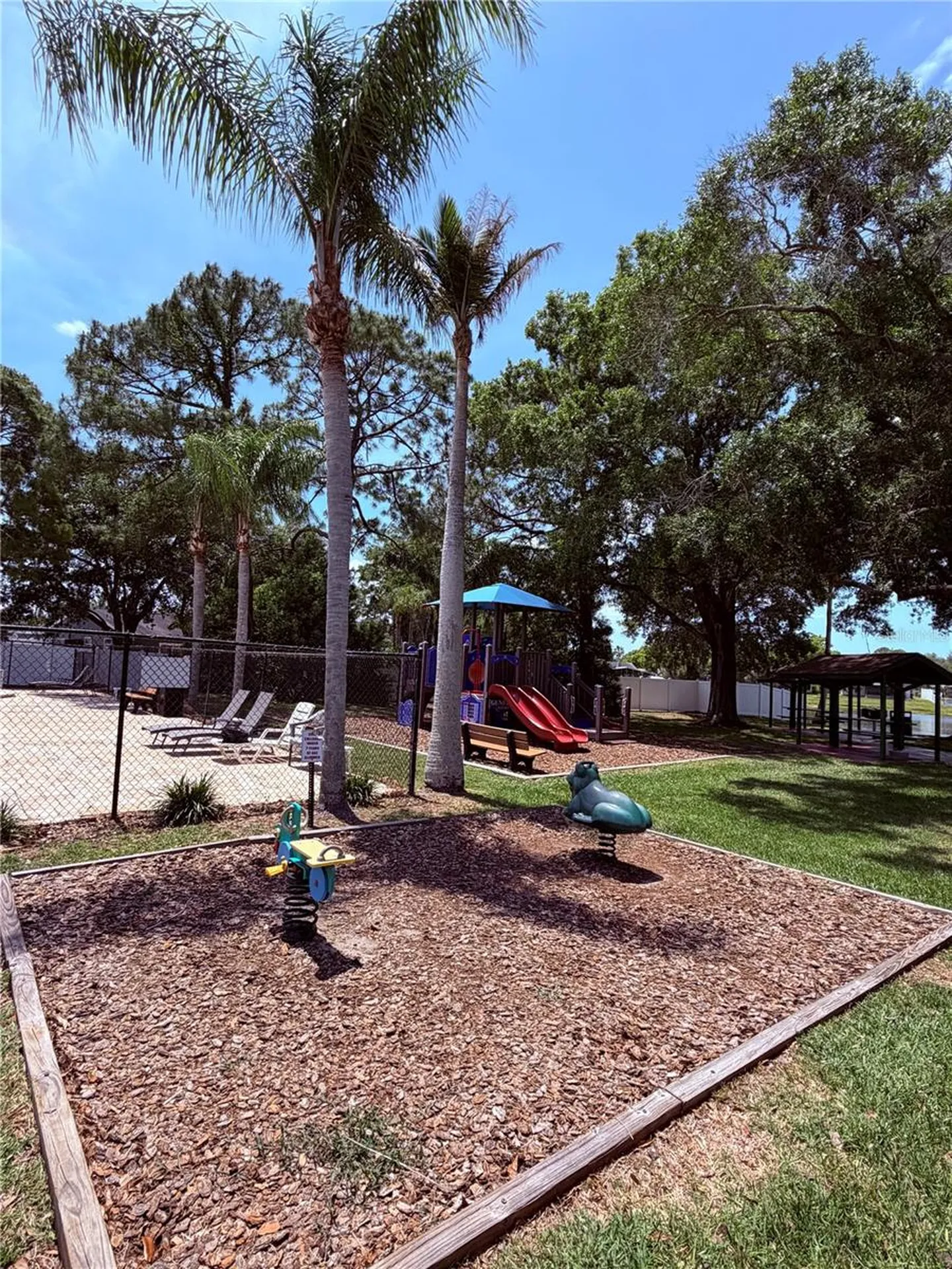 129 Camphor Circle Oldsmar FL 34677