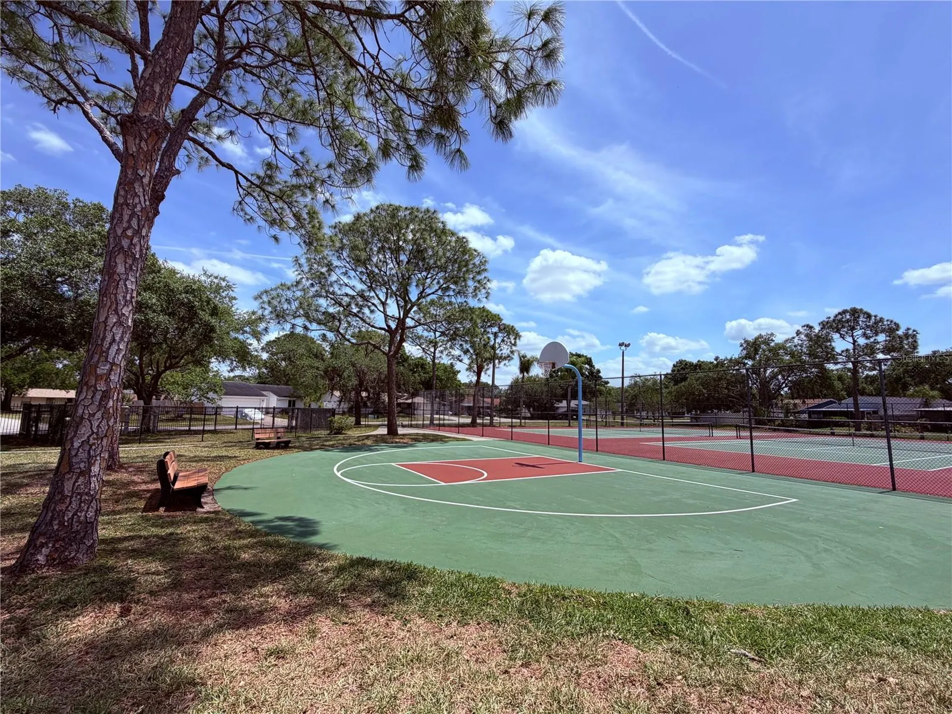 129 Camphor Circle Oldsmar FL 34677