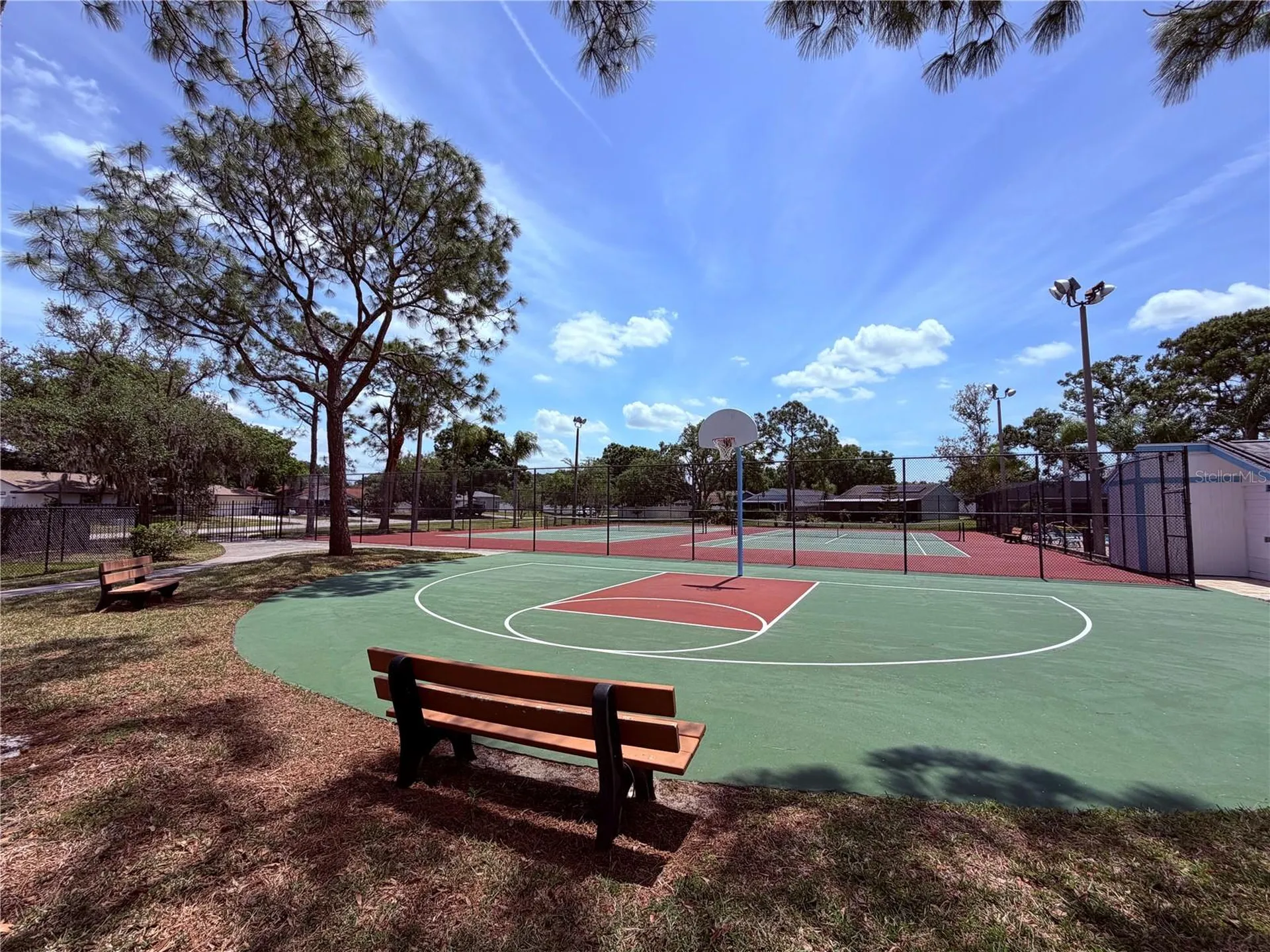 129 Camphor Circle Oldsmar FL 34677